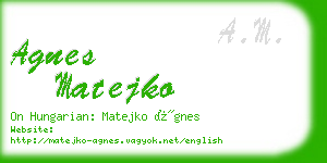 agnes matejko business card